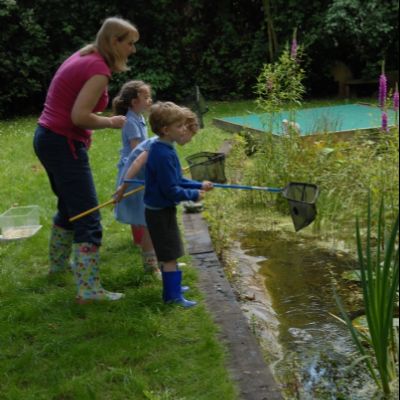 Pond dipping at Knowle Green